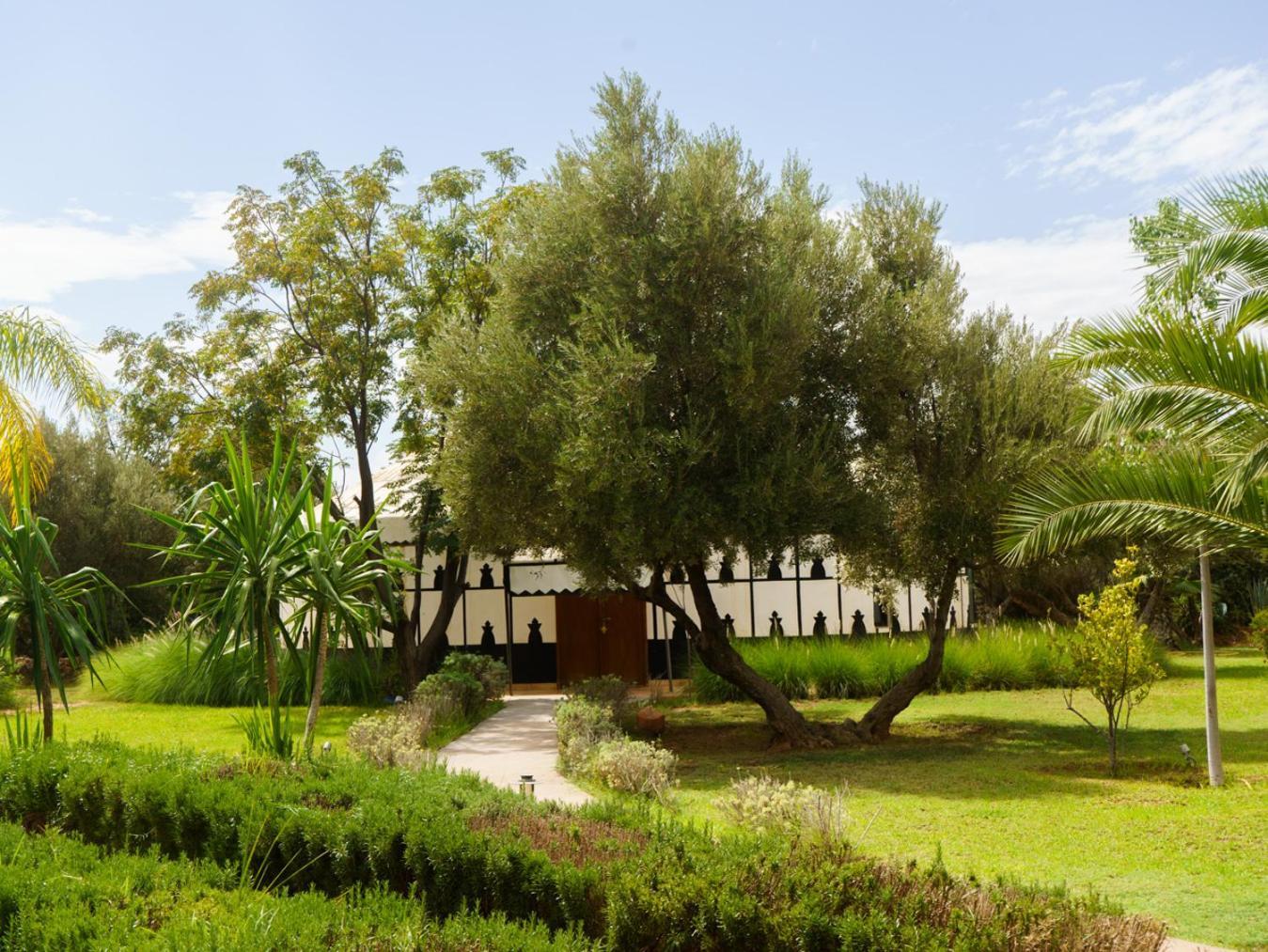Villa Marco Au Jardin Des Senteurs El Ain Esterno foto